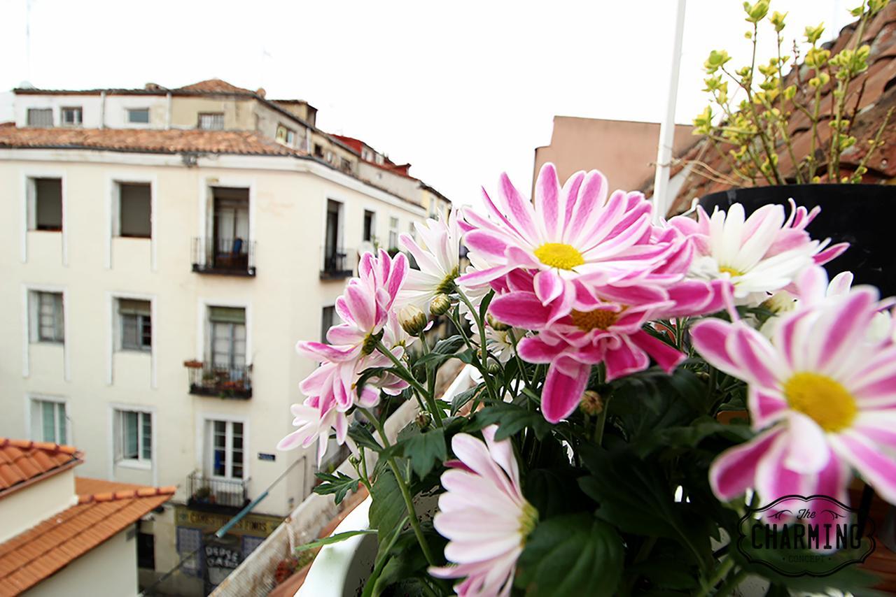 Charming Oasis In The Centre Of Madrid公寓 外观 照片
