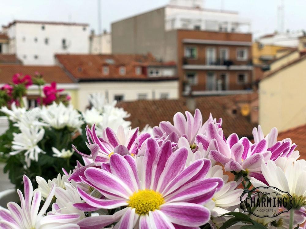 Charming Oasis In The Centre Of Madrid公寓 外观 照片